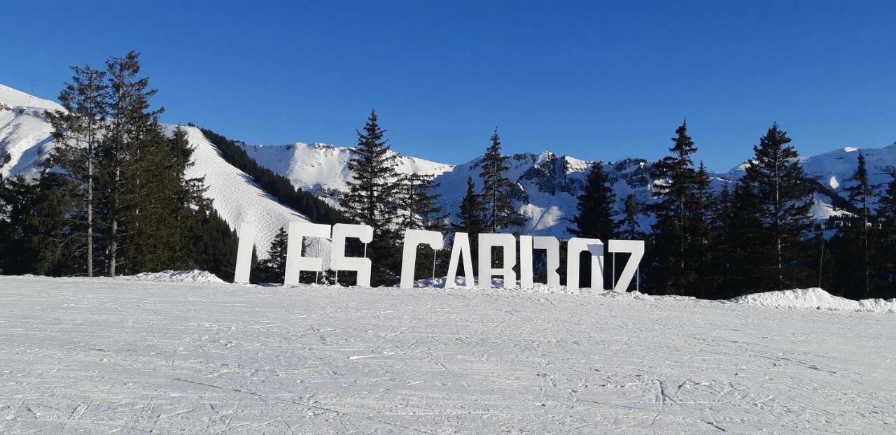 Grand Apartment Les Carroz d'Araches